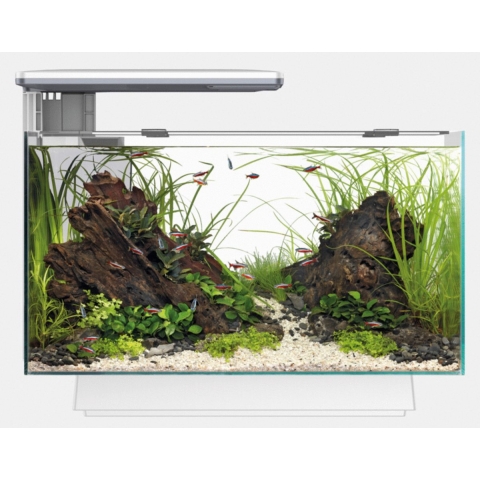SuperFish  Aquarium quadro 40 multi colour wit - SuperFish