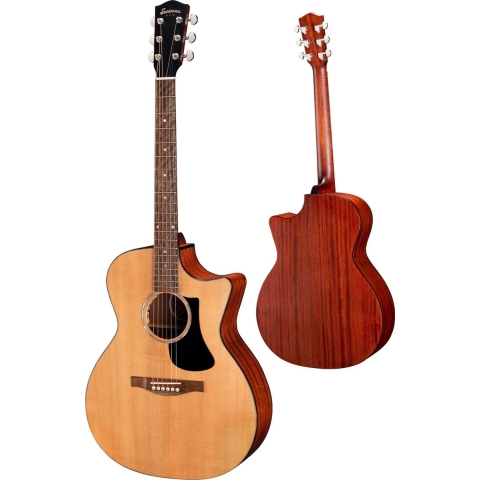 Eastman PCH1-GAce