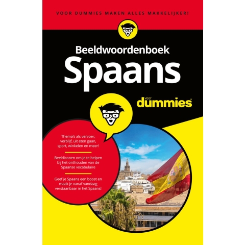 Beeldwoordenboek Spaans voor dummies (Paperback)