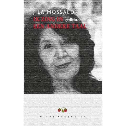 Ik zing in een andere taal (Paperback)