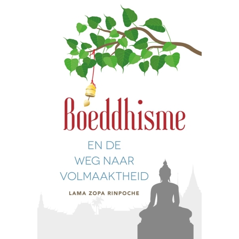 Boeddhisme en de weg naar volmaaktheid (Hardback)