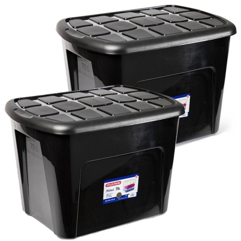 Plasticforte opberg kist met deksel - 2x - Box - 75 liter - 60 x 42 x 43cm - kunststof - transparant -