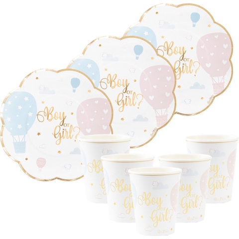 Feestbordjes/servies set - 16-delig - gender reveal - blauw roze - rond - papier/karton -