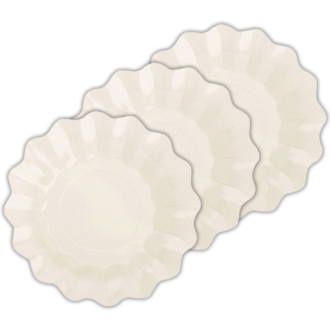 Feestbordjes/gebaksbordjes met schulprand - 40x - ivoor wit - rond - karton - 21 cm -