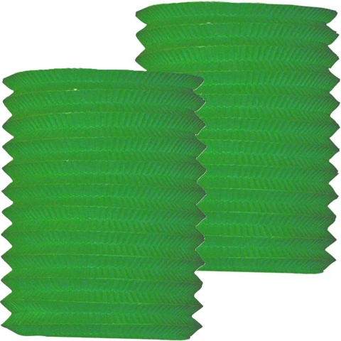 Treklampion voor feest/verjaardag - 12x - groen - 16 x 20 cm - feestartikelen/versiering - papier -