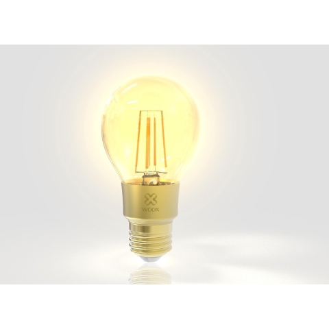 Woox R9078 Slimme filament E27 lamp