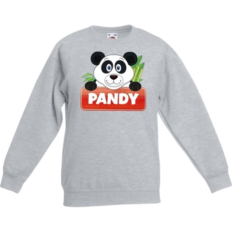 Sweater grijs voor kinderen met Pandy de panda 12-13 jaar (152/164) -