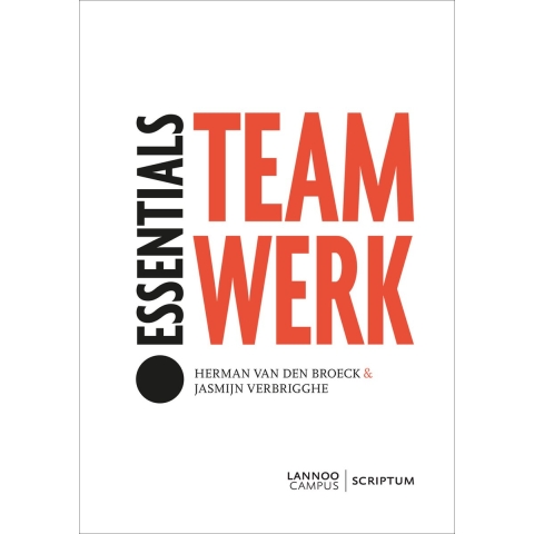 Teamwerk (Paperback)