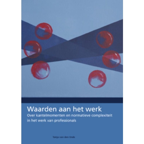 Waarden aan het werk (Paperback)