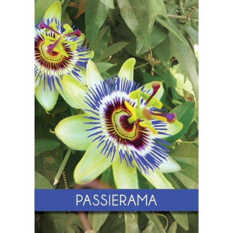 Passierama (Paperback)