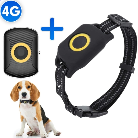Exclusive by TW Huisdier GPS Tracker - GPS Tracker Hond Kat Auto - Track&Trace - Waterdicht - NL App