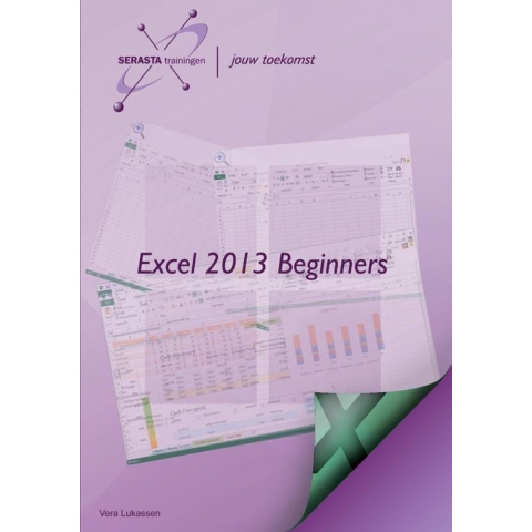 Excel 2013 (Paperback)