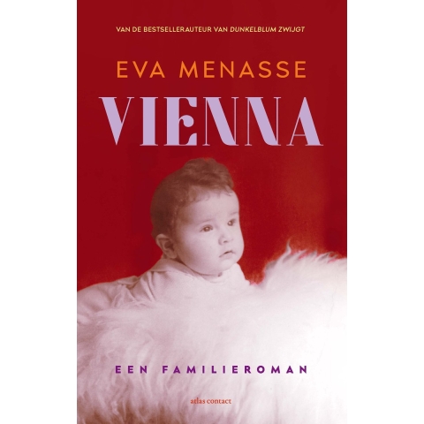 Vienna (Paperback)