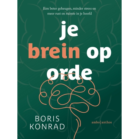 Je brein op orde (Paperback)