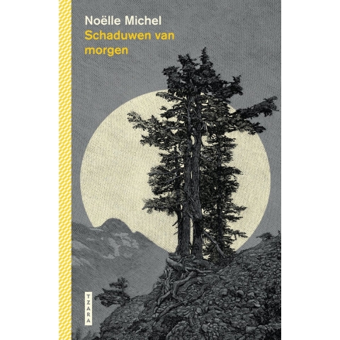 Schaduwen van morgen (Hardback)