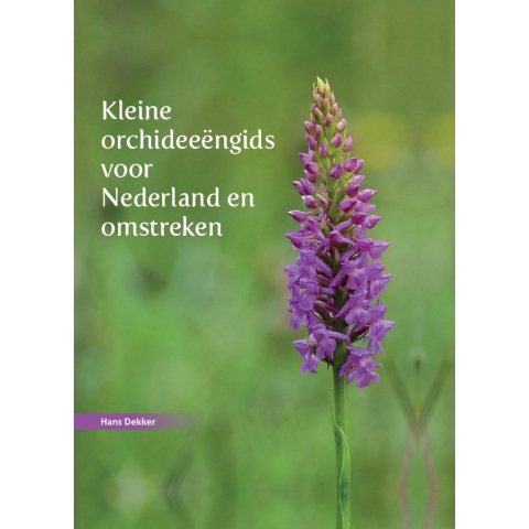 Kleine orchideeëngids voor Nederland en omstreken (Hardback)