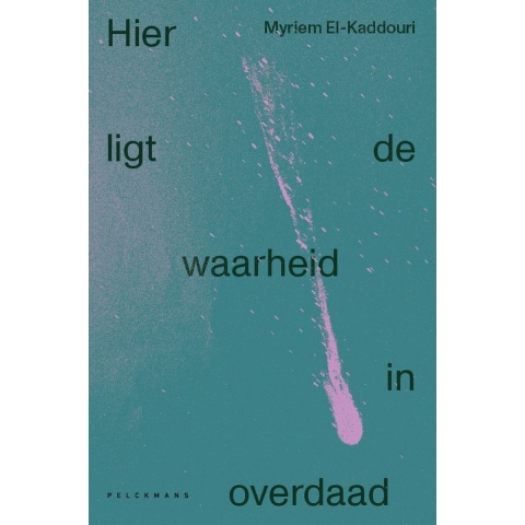 Hier ligt de waarheid in overdaad (Paperback)