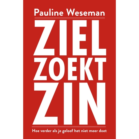 Ziel zoekt zin (Paperback)