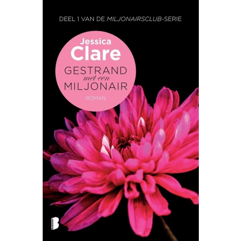 Gestrand met een miljonair (Paperback)