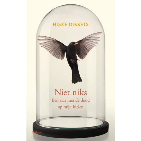 Niet niks (Paperback)