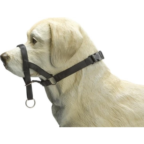 Beeztees Dog Control - Halsband Hond - Zwart - M- Special
