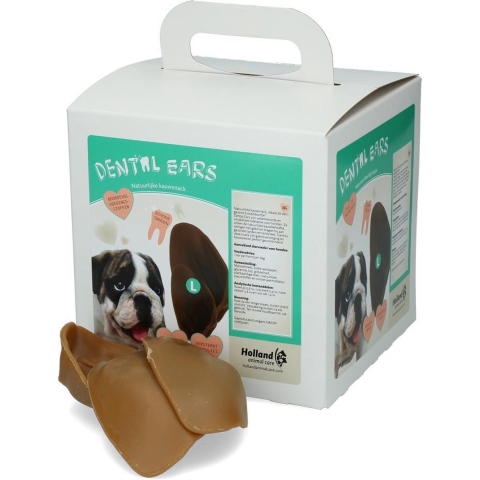 Dental Ears Large 24st