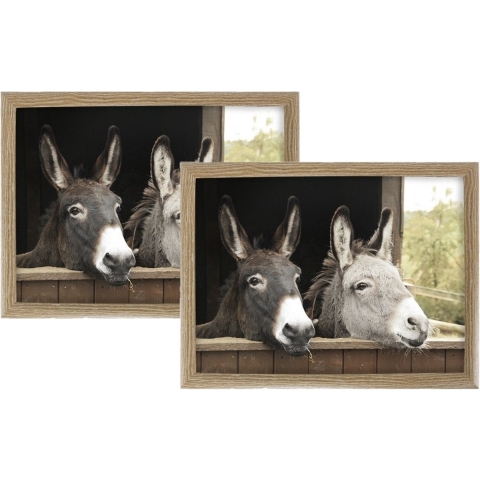 Set of 2 schootkussens/laptrays ezels print 43 x 33 cm -
