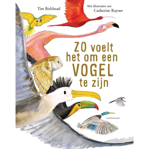 Zo voelt het om een vogel te zijn (Hardback)