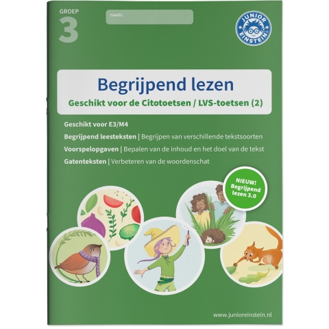 Begrijpend lezen (Paperback)