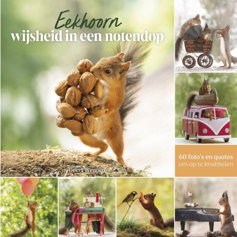 Eekhoorn wijsheid in een notendop (Hardback)