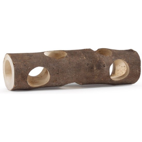 Forest - holle boomstam - 20x32