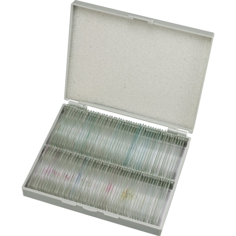BRESSER Microscoop preparaten 100 stuks - Biologie
