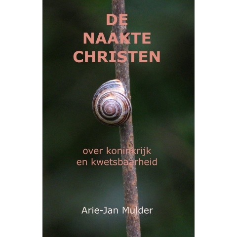 De naakte christen (Paperback)
