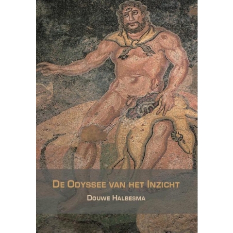 De Odyssee van het inzicht (Paperback)