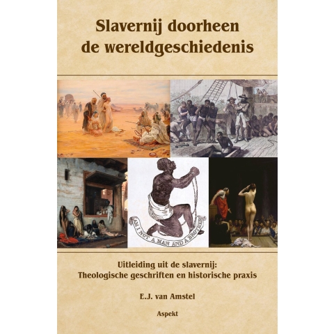 Slavernij doorheen de wereldgeschiedenis (Paperback)