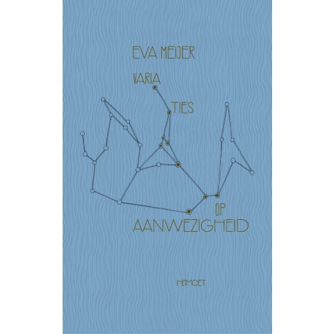 Variaties op aanwezigheid (Paperback)