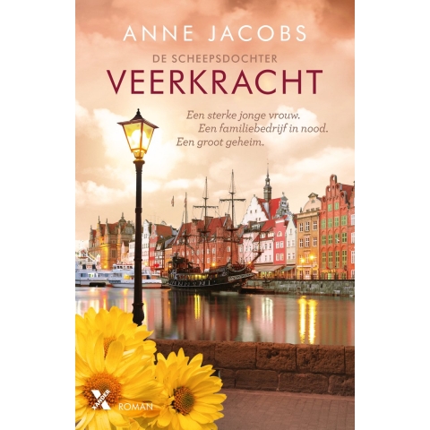 Veerkracht (Paperback)