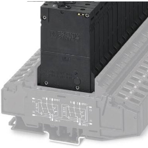 Phoenix Contact 0915810 TMCP 1 M1 300 6,0A Beveiligingsschakelaar 250 V/AC 6 A 6 stuk(s)