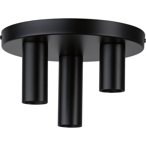 Paulmann 79761 Plafondlamp E27 Zwart