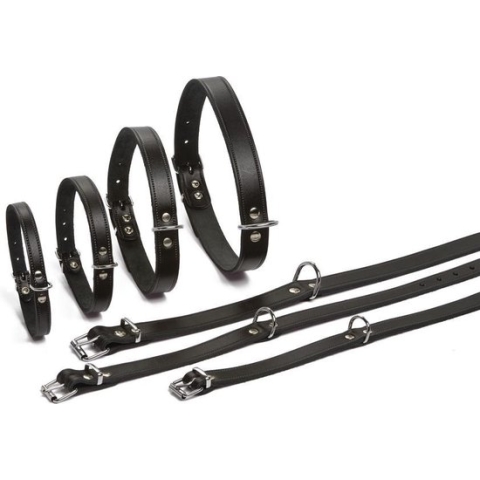 Beeztees - Halsband Hond - Leer - Zwart - 35,5-41,5 cm x 18 mm