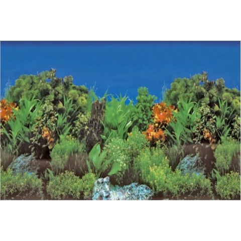 SuperFish Deco Poster Rots / Plant 150X61cm