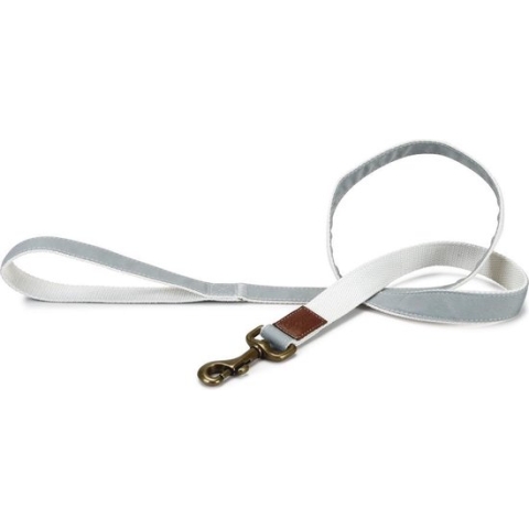 Designed by Lotte Virante - Hondenriem - Mint - 120 cm x 25 mm