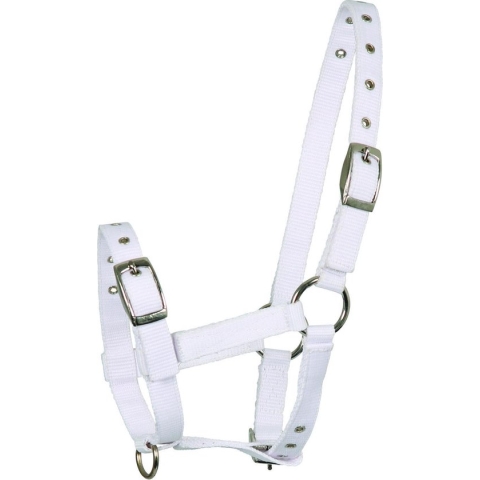 Veulen halster Triple White