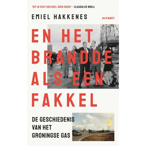 En het brandde als een fakkel (Paperback)