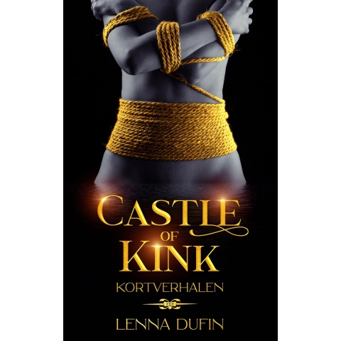 Castle of Kink (Paperback)