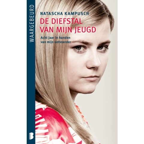 De diefstal van mijn jeugd (Paperback)