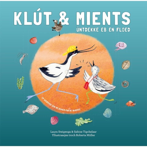 Klút & Mients ûntdekke eb en floed (Hardback)