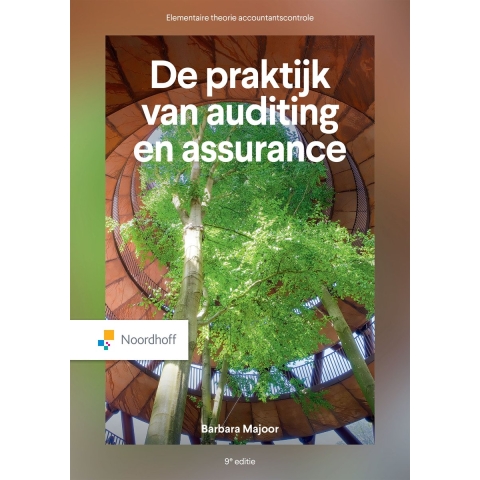 De praktijk van auditing en assurance - 9e editie (Paperback)