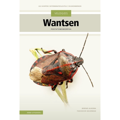 Veldgids Wantsen (Hardback)