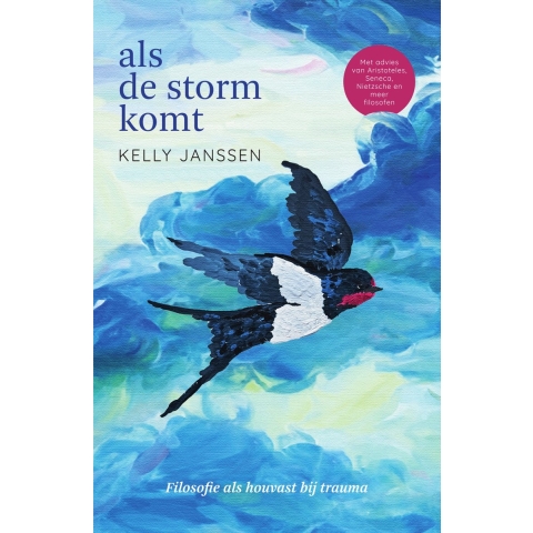 Als de storm komt (Paperback)